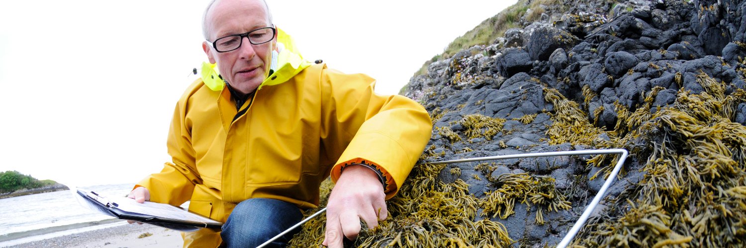 Michael Burrows banner