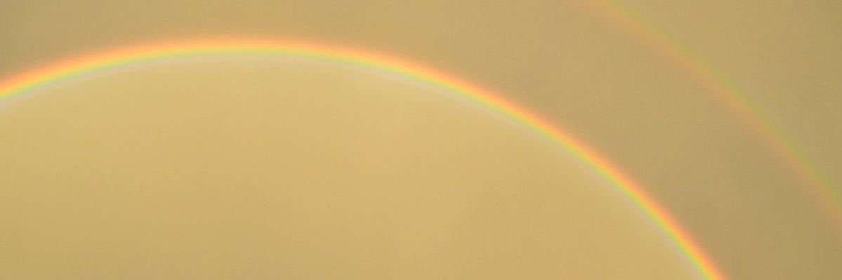 MatthewCamardo's profile banner image