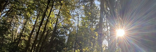 vlowgoes Profile Banner