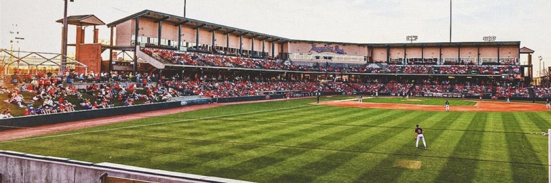 Kyle Nicholson banner