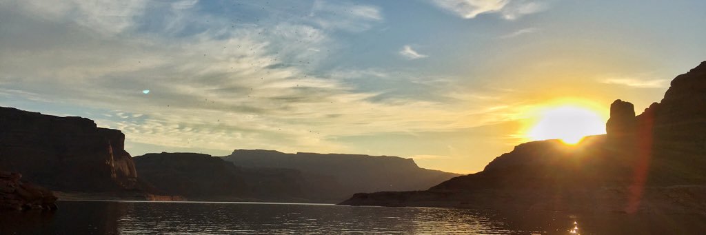 mstokz's profile banner image