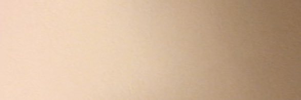 YDNA444's profile banner image