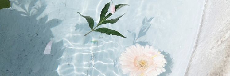 suuxxiv's profile banner image