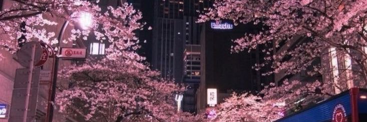 mua_val's profile banner image