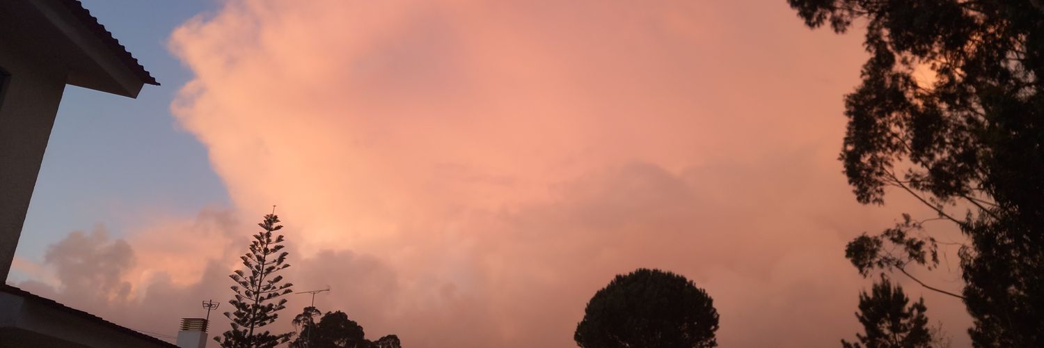 BrunoCarvalhoB2's profile banner image