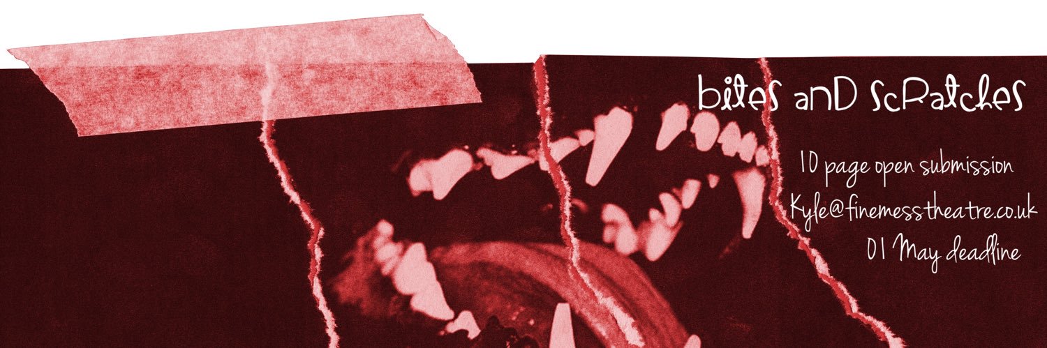 Fine Mess Theatre banner