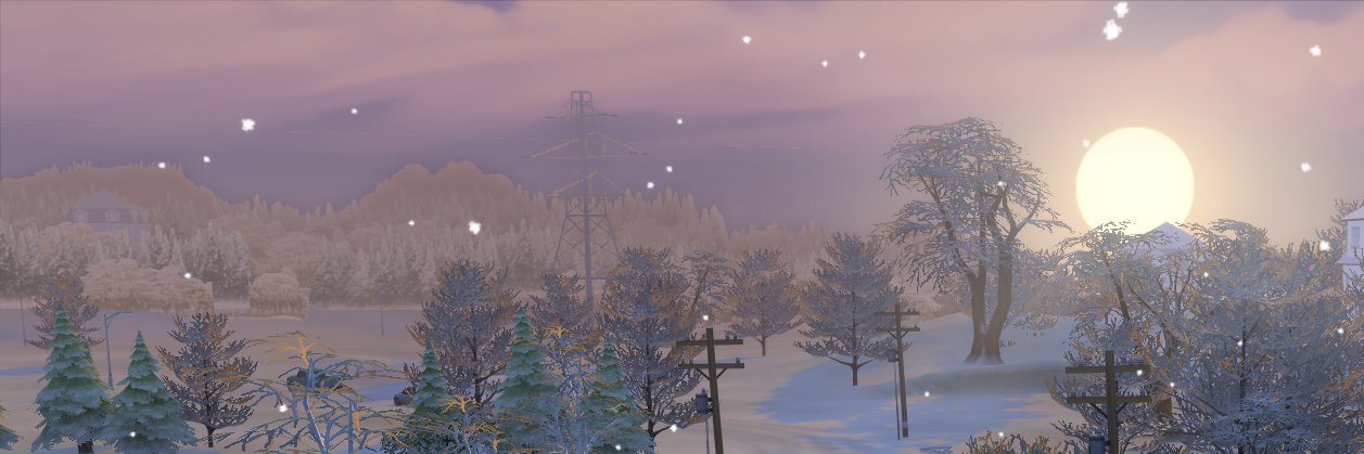 Mimtoge's profile banner image