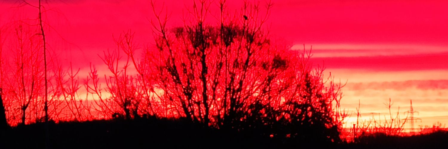 mkoeppen's profile banner image
