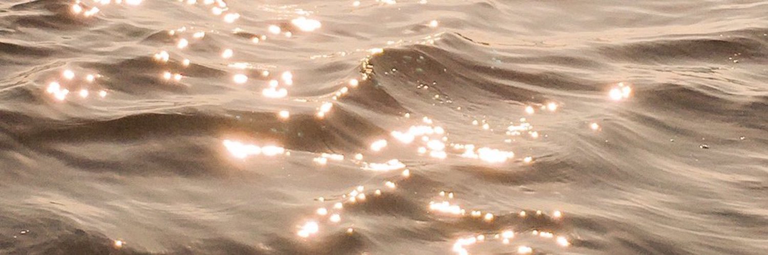 ssevalkn's profile banner image