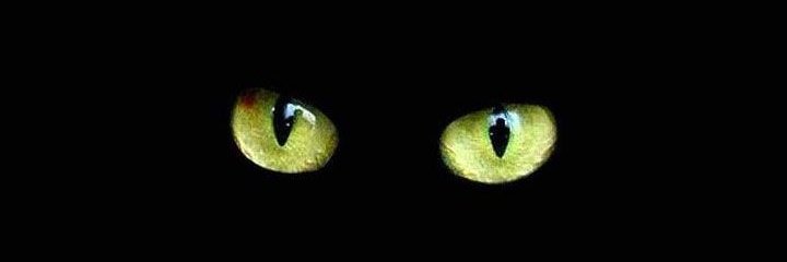 fTiconuwu's profile banner image