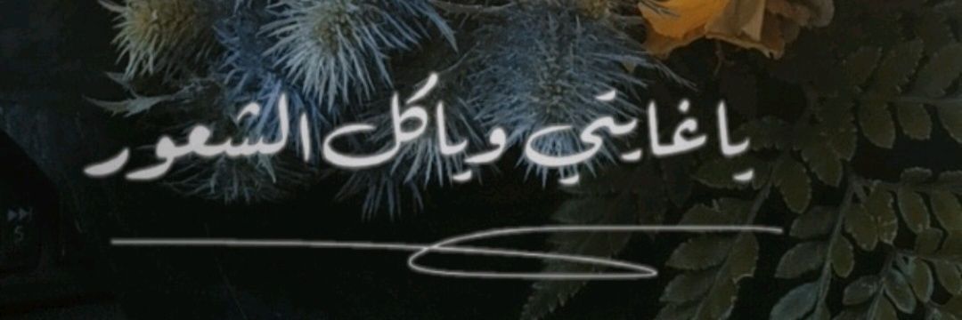6abab6's profile banner image