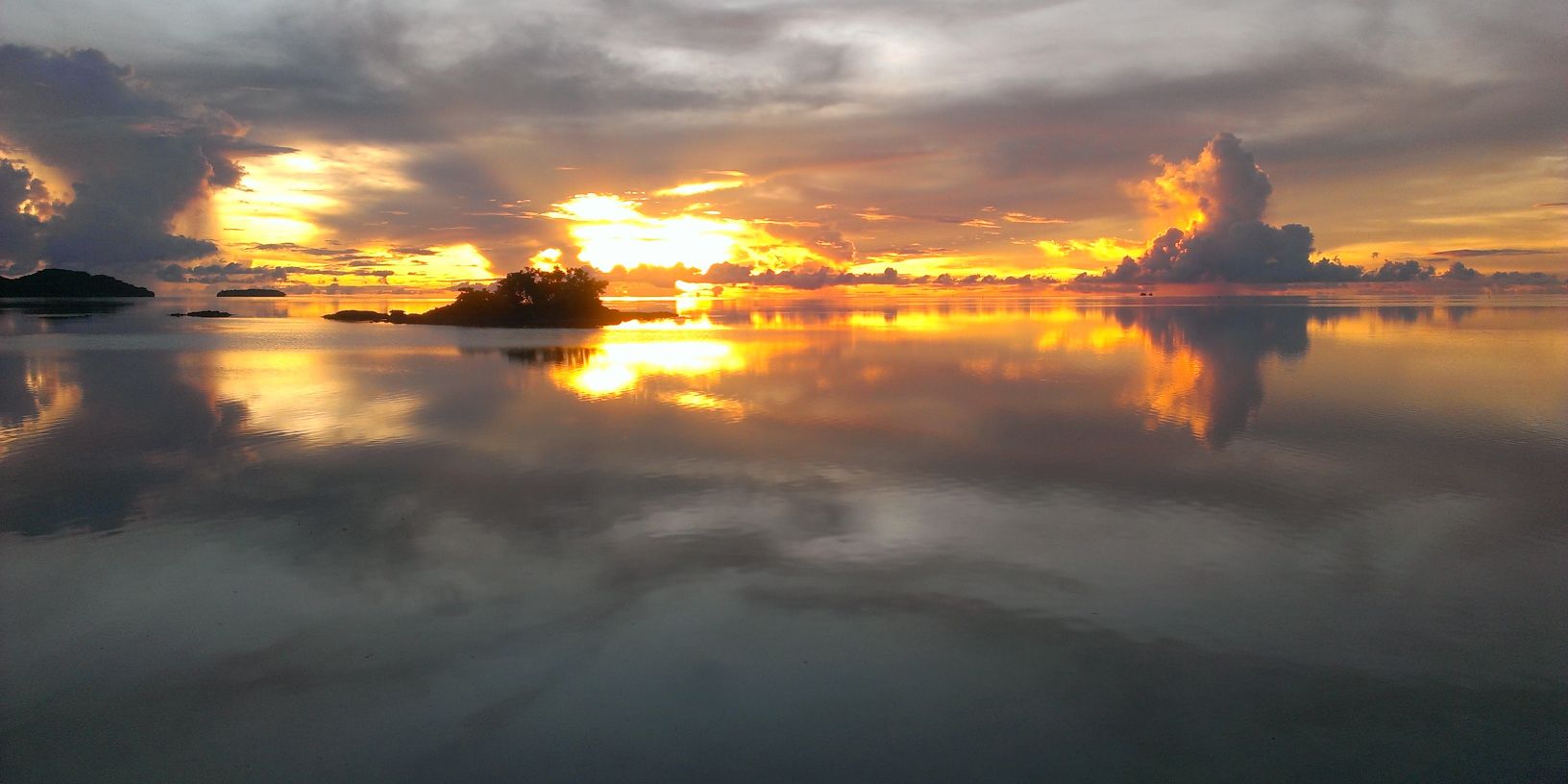 bevpaterson's profile banner image