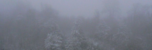 tombuchanan99 Profile Banner