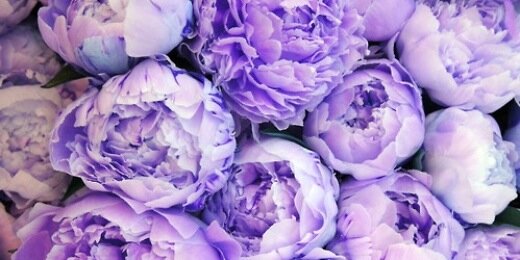 AlexaA6949's profile banner image