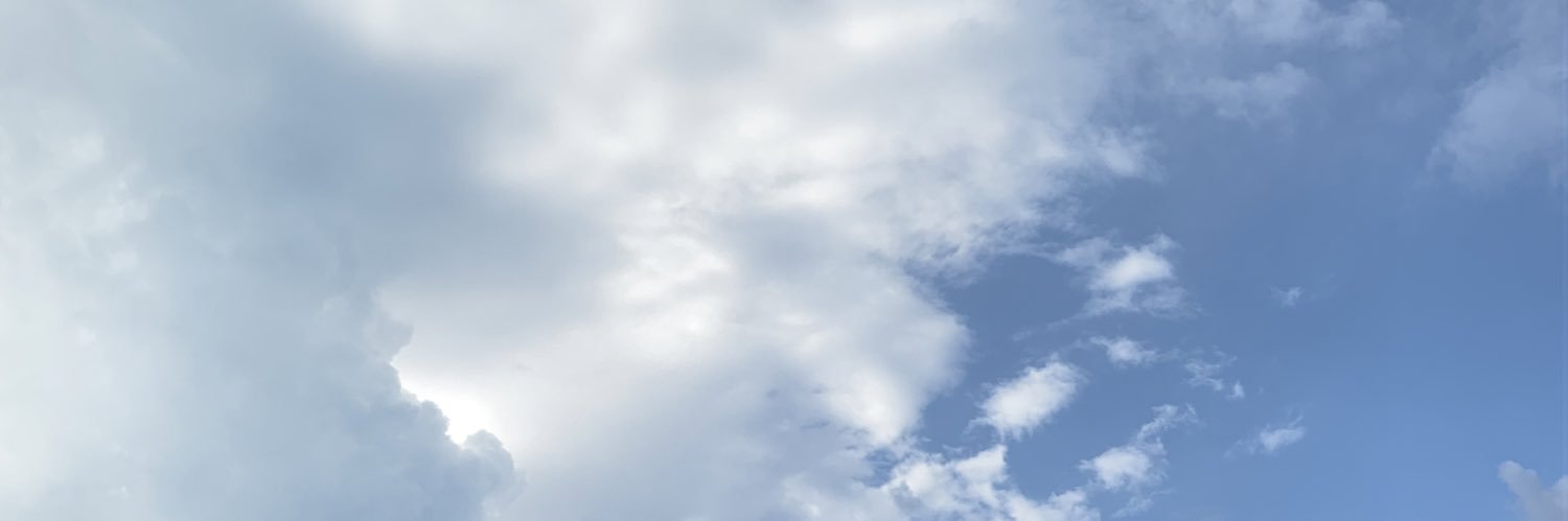 sintamutt's profile banner image