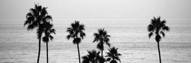 grapejuiceb's profile banner image