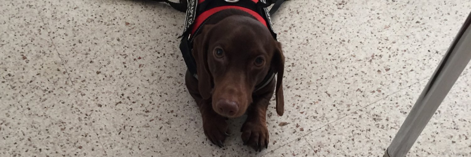 Vanngoes2's profile banner image