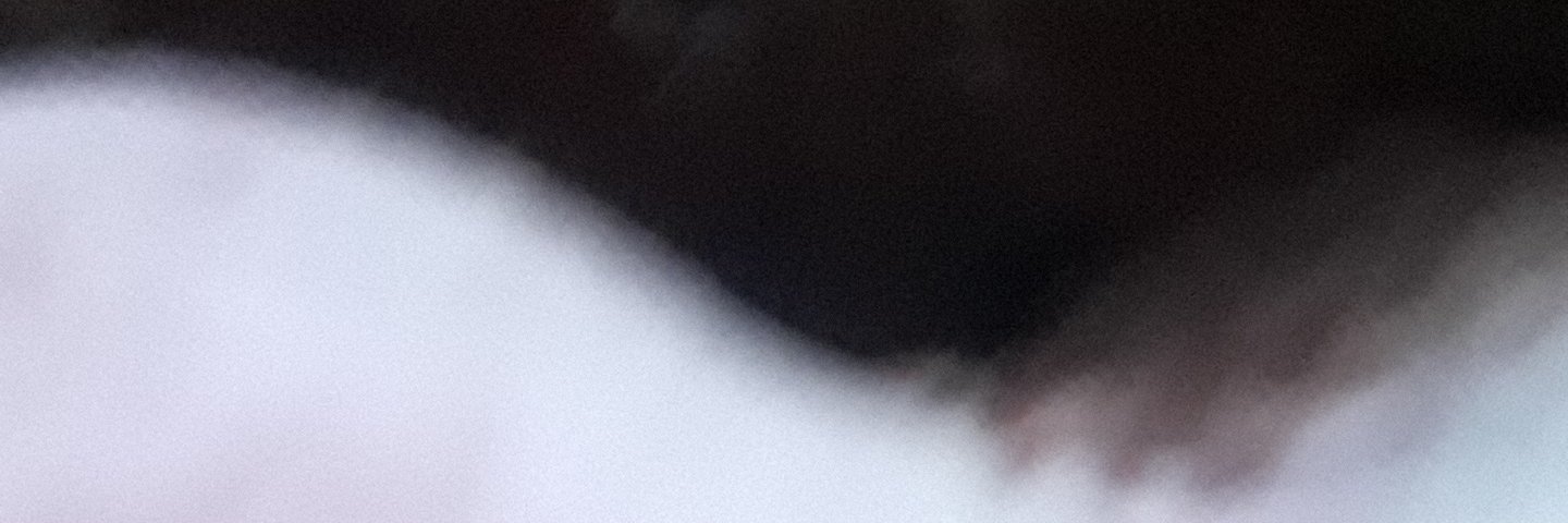 Ebons Toppers 💯x💯 banner