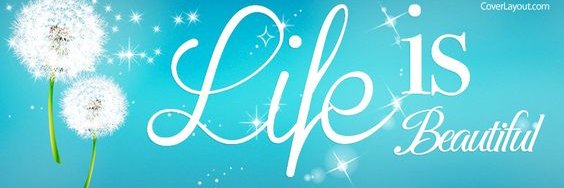 val silverstein banner