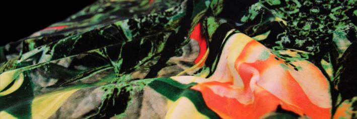 WildRiceDesigns's profile banner image