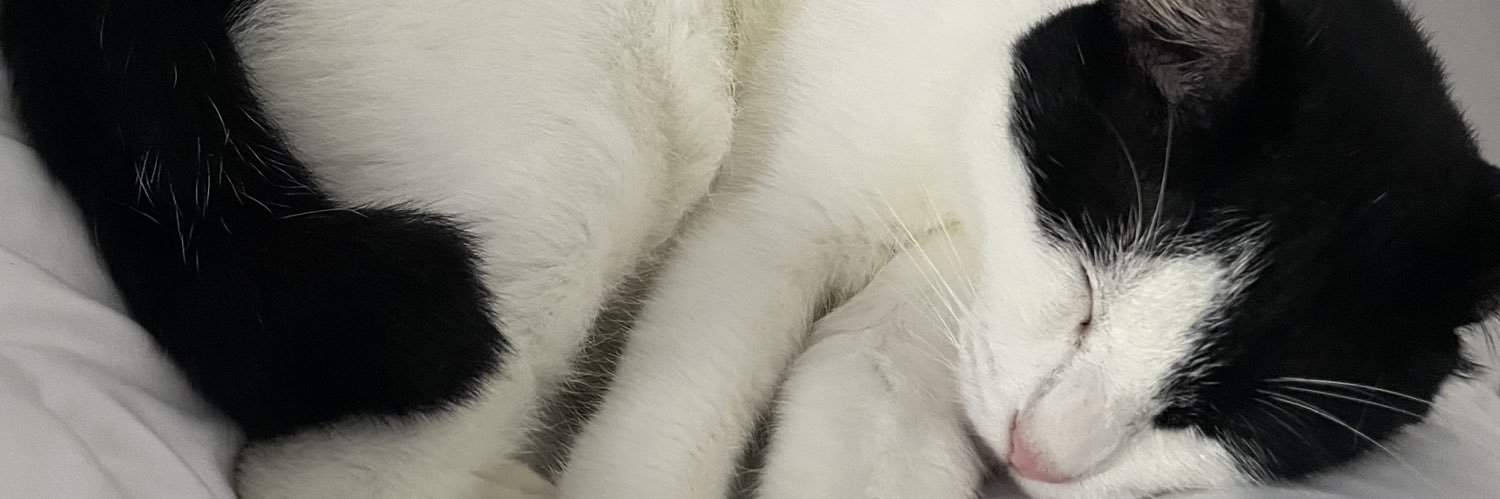 _catolfyaxsn's profile banner image