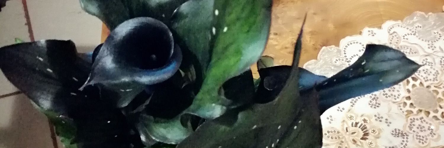 LICEPEIAC's profile banner image
