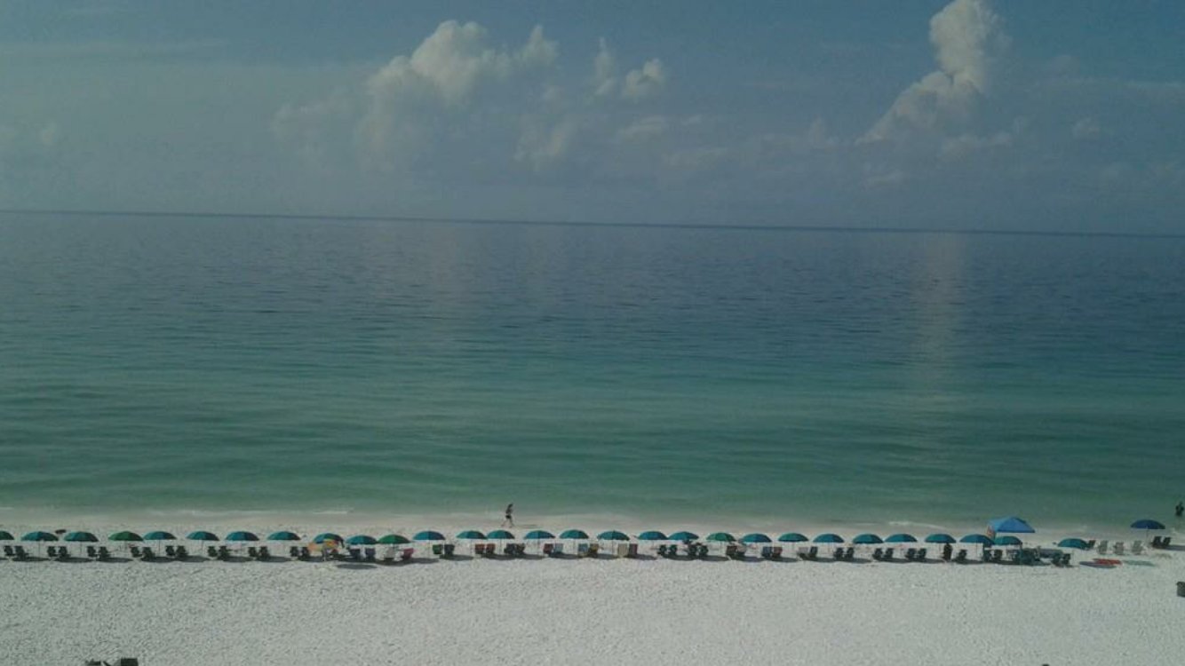 dsmithsexton's profile banner image