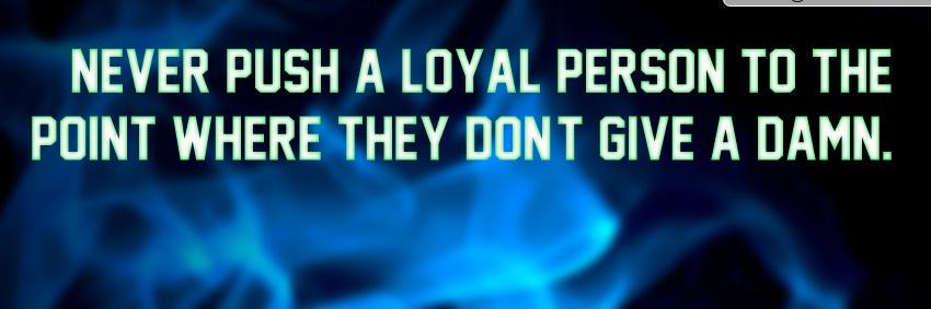 Curtis E. Flush banner