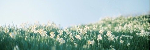 frary_tale's profile banner image