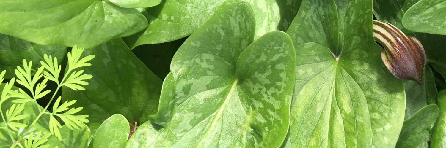 ChristineHealey's profile banner image