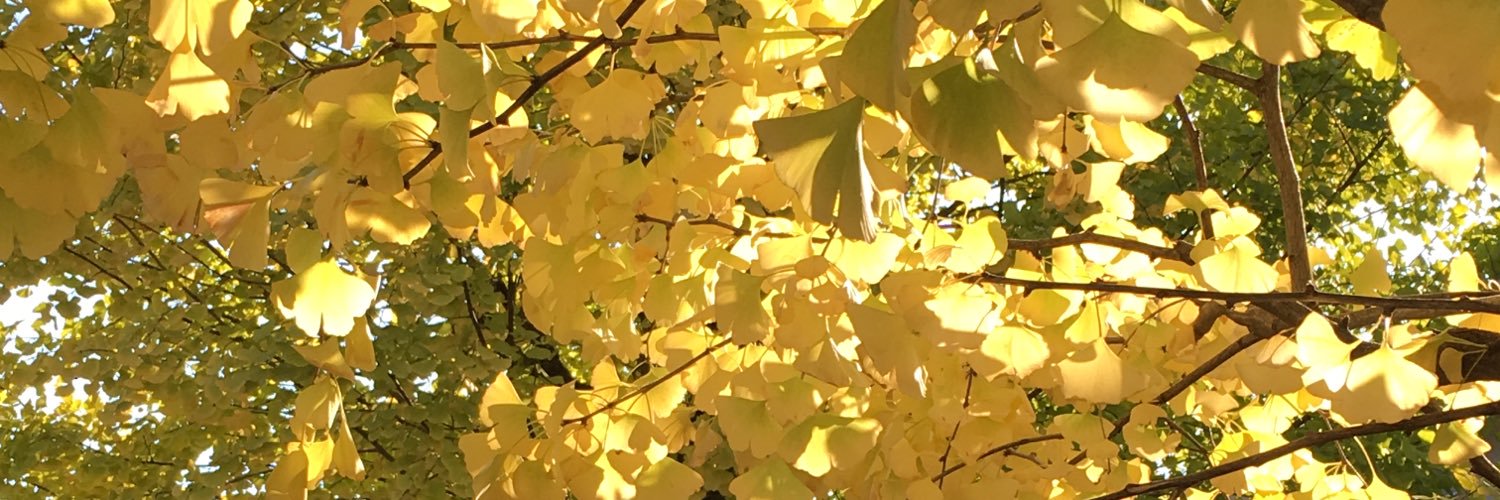 allensummer777's profile banner image