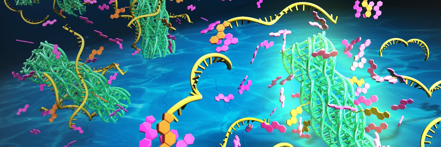 Shoji Iwabuchi banner