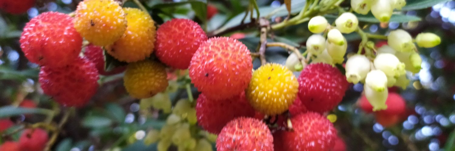 aolivers's profile banner image
