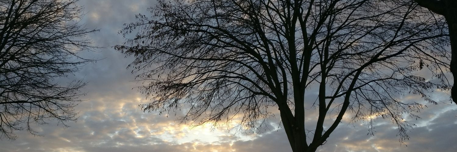 Gabbermiezex's profile banner image