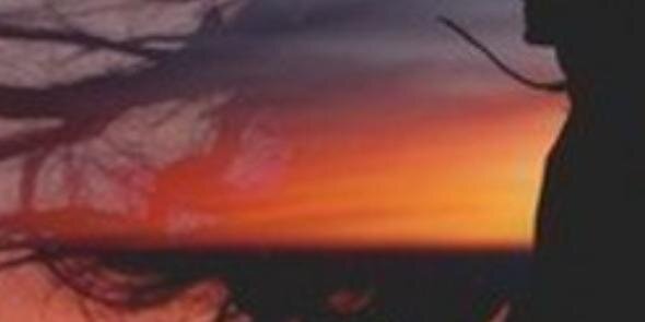 amir_sare's profile banner image
