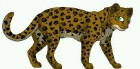 LeopardShine's profile banner image
