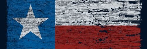 Texas Bi banner