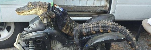 erikwang21's profile banner image