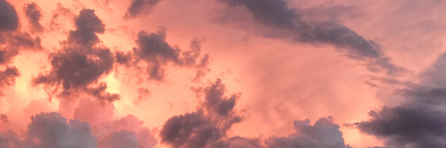 laylacolada's profile banner image