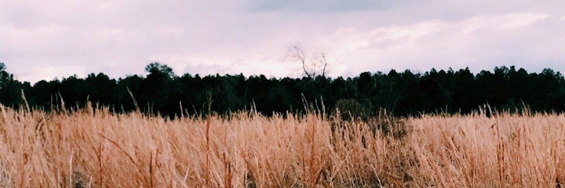 ParksOmri's profile banner image