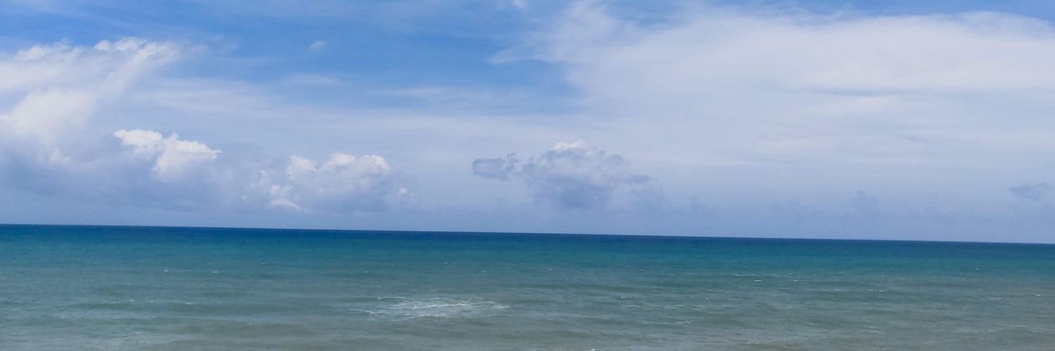SabinRodriguez's profile banner image