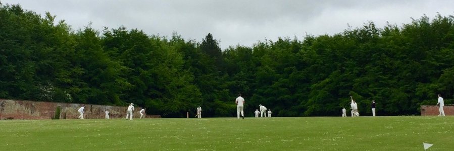 Erlestoke & Coulston Cricket Club banner