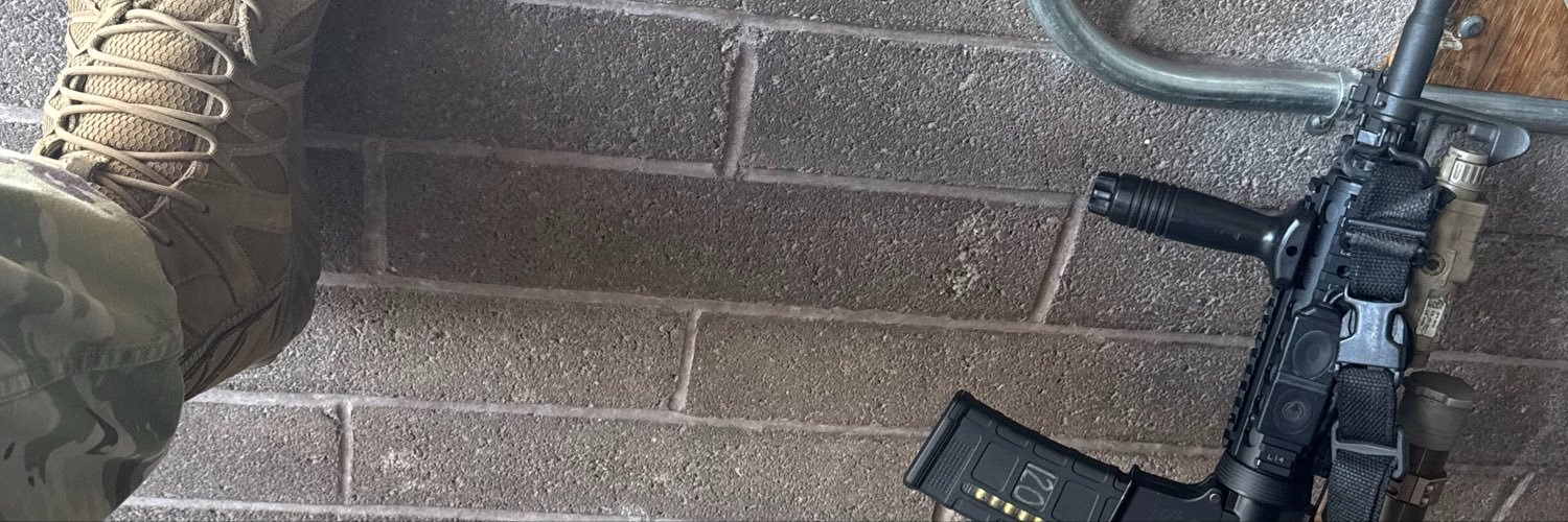 shrmpdntfryrice's profile banner image