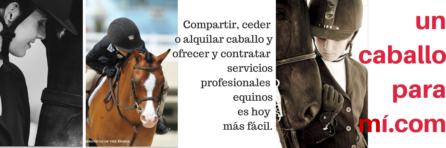 caballoparami's profile banner image