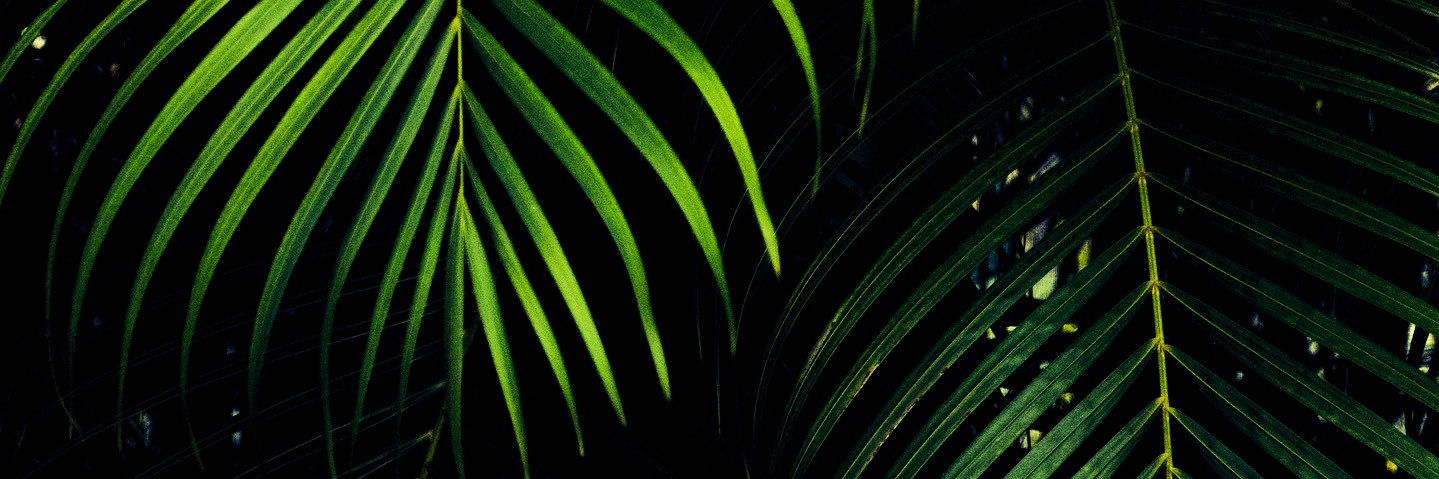 GDM_12's profile banner image