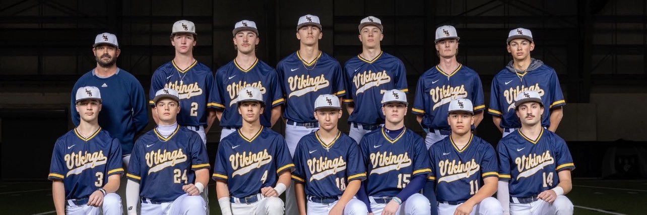Lamar Vikings Baseball banner