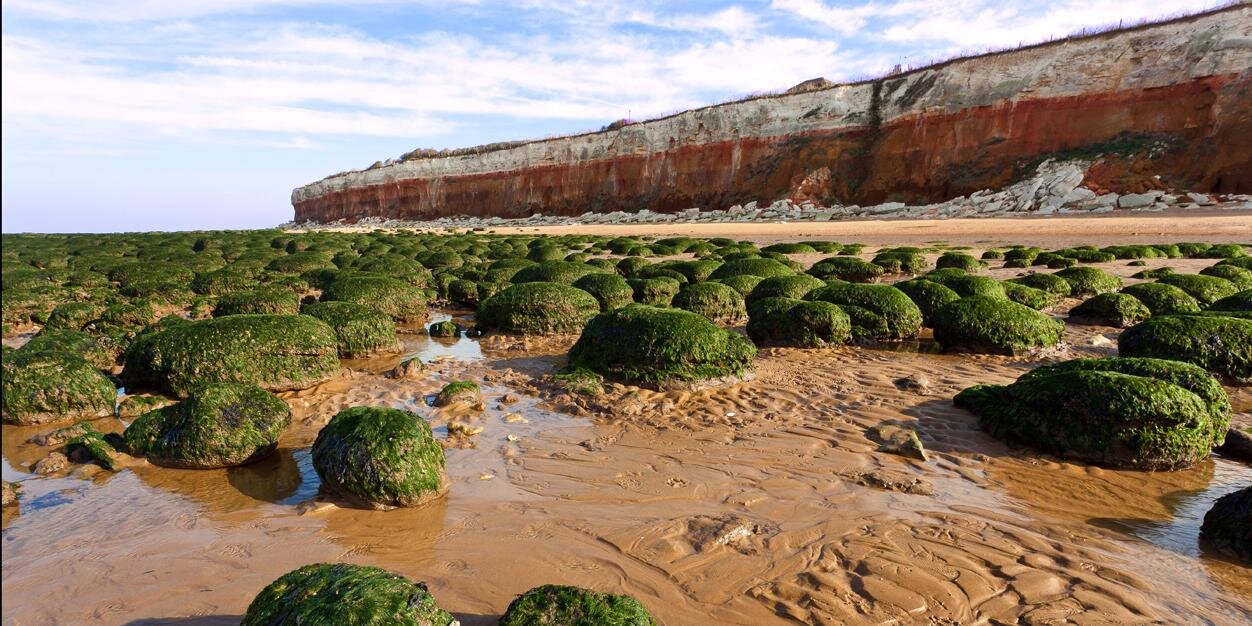 Northgate Geography banner