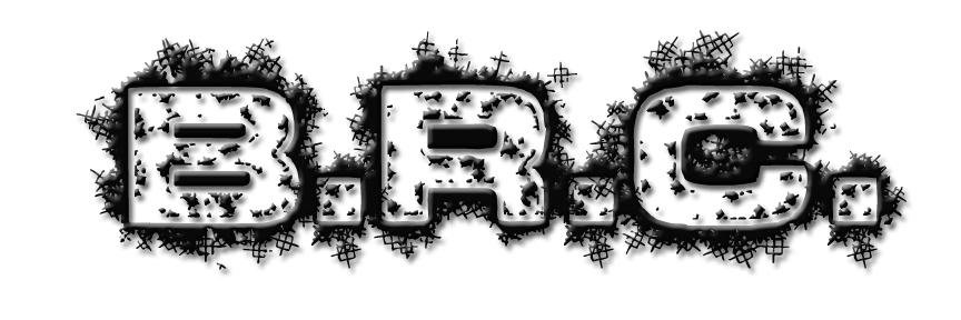 Blank Regime Corp banner