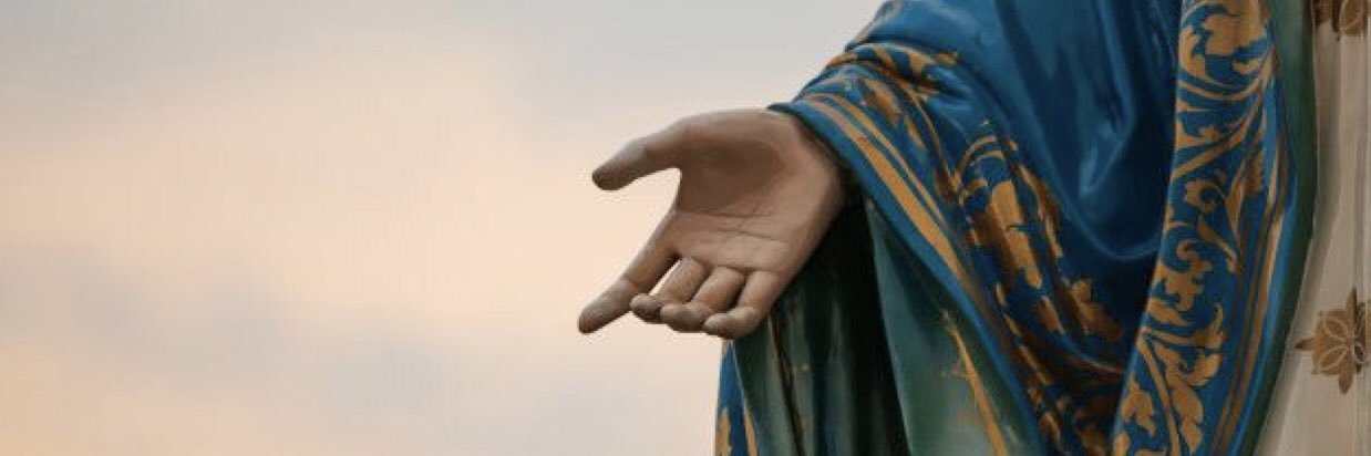 GiiProcopio's profile banner image