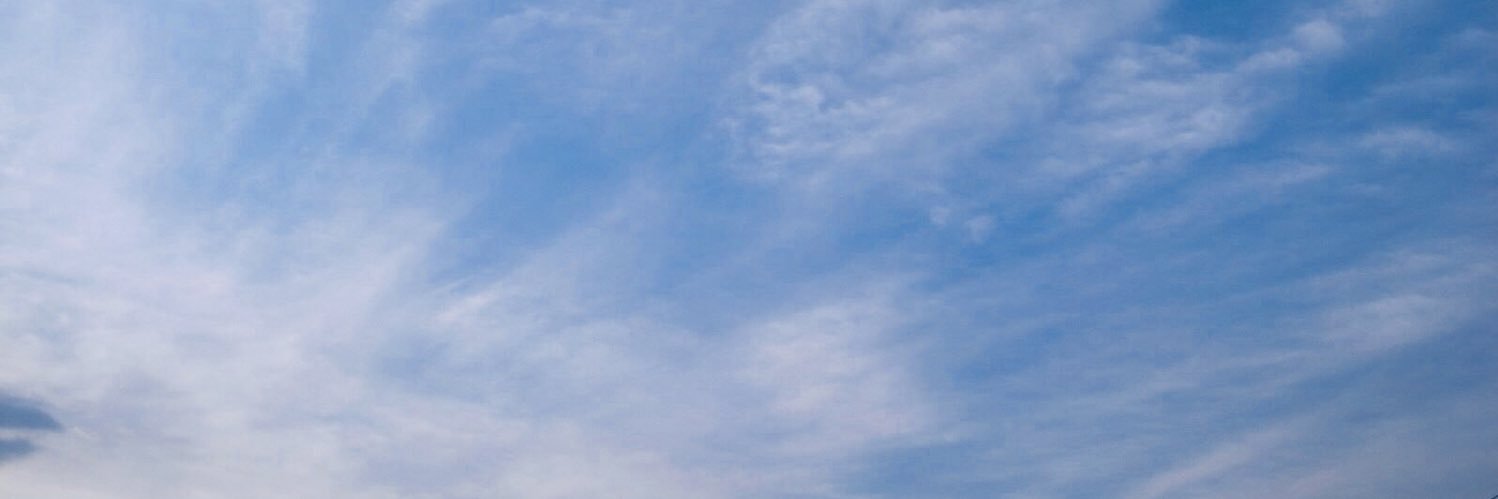 shoko_y's profile banner image